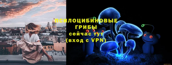 стаф Алексин