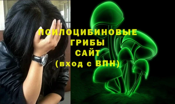 стаф Алексин