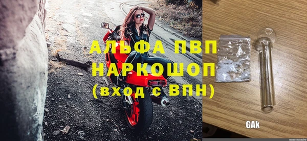 СК Абинск